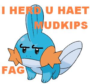 no_liek_mudkips.jpg