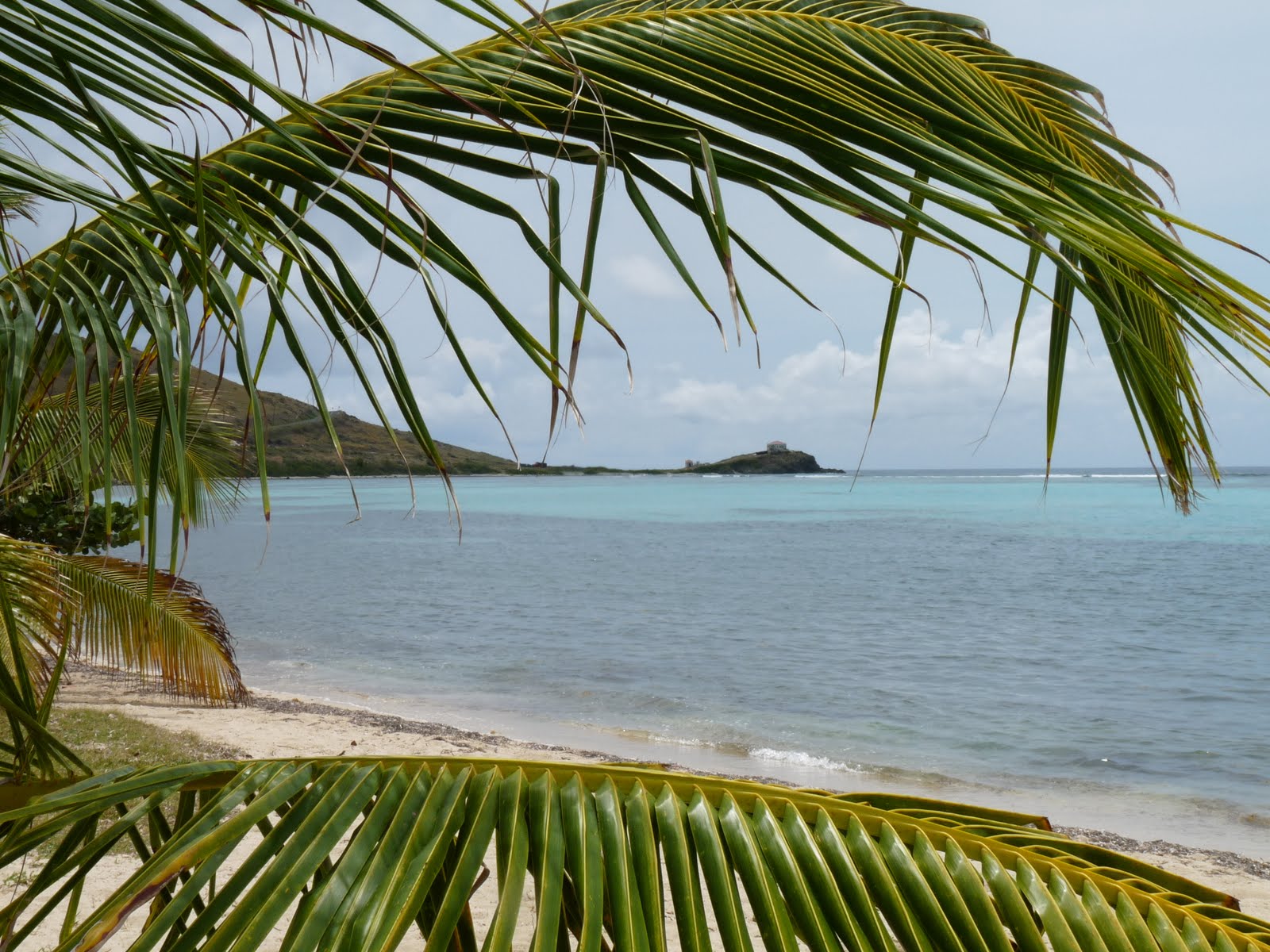 Chapter 2 St Croix St Croix, USVI