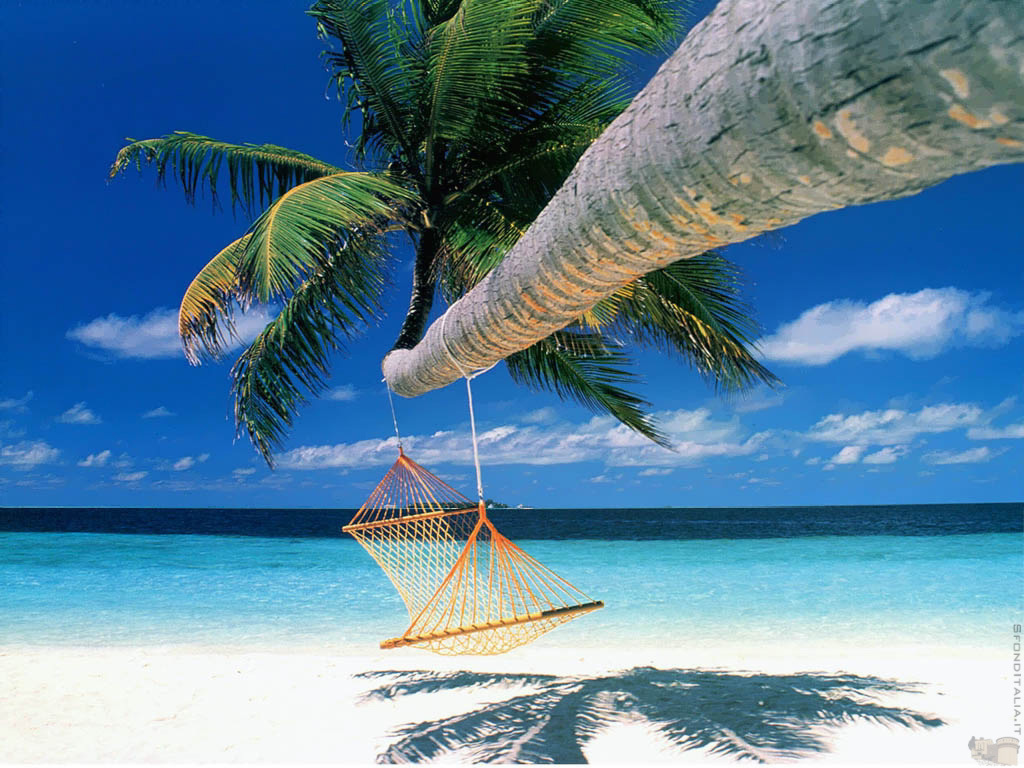 Hammock On The Beach Background - Viewing Gallery