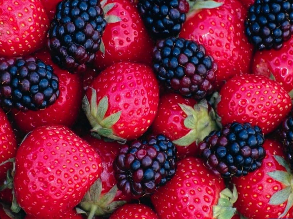 O Pomar do Sítio: Amoras