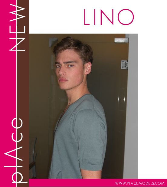 [lino_meiries_1.jpg]