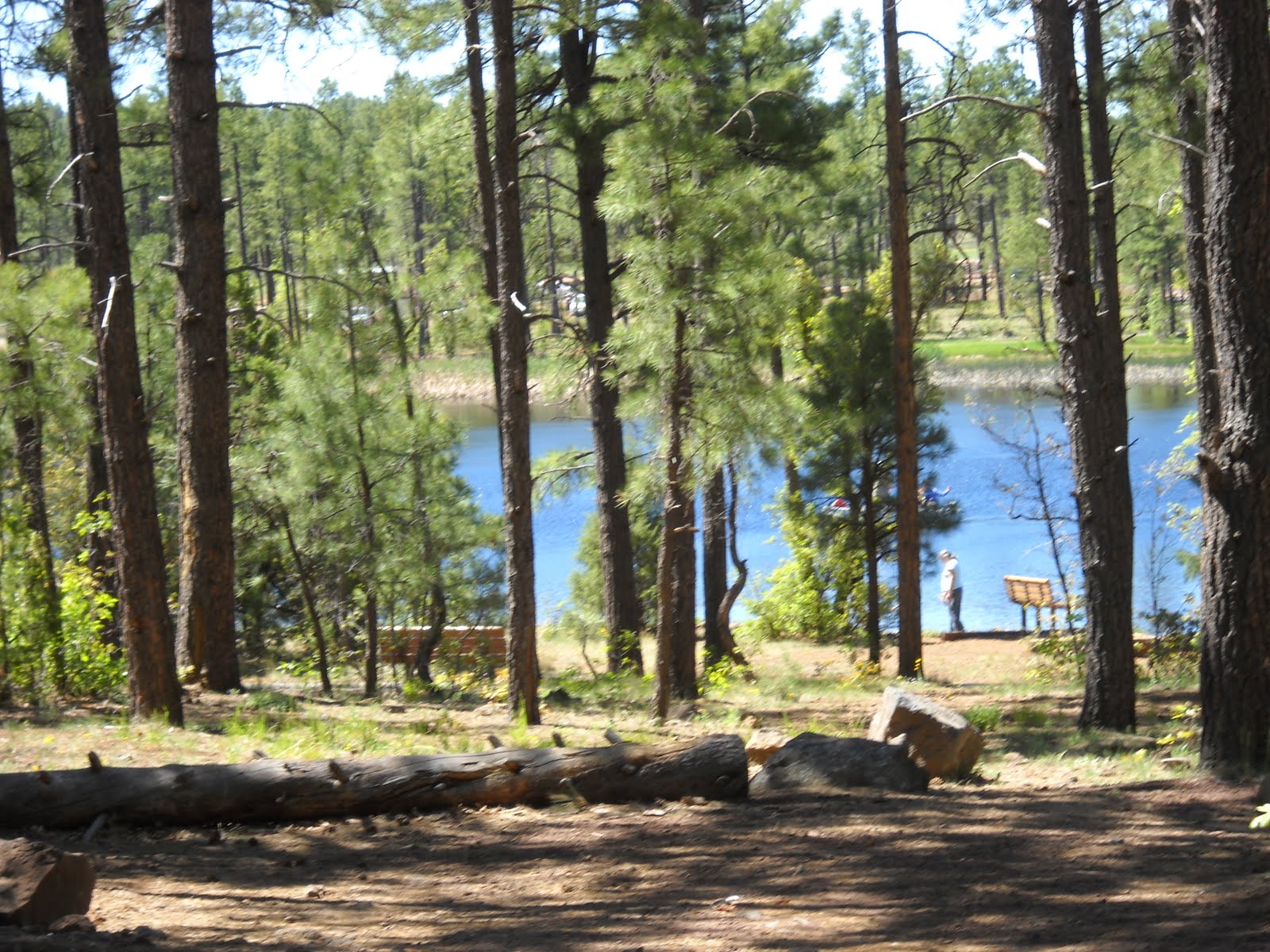 Moms Little Run Away Woodland Lake Park