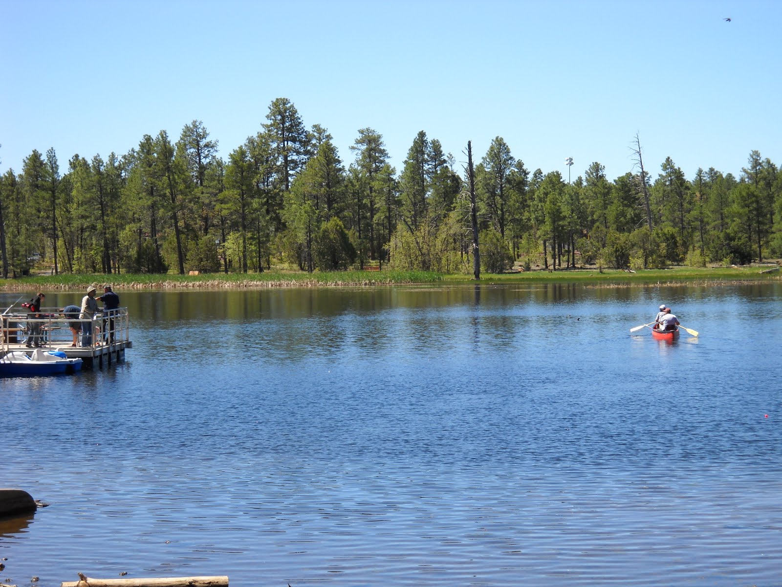 Moms Little Run Away Woodland Lake Park