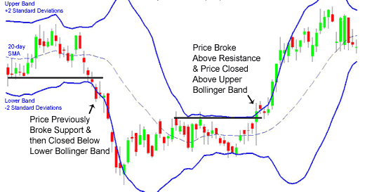 Kelvin han forex