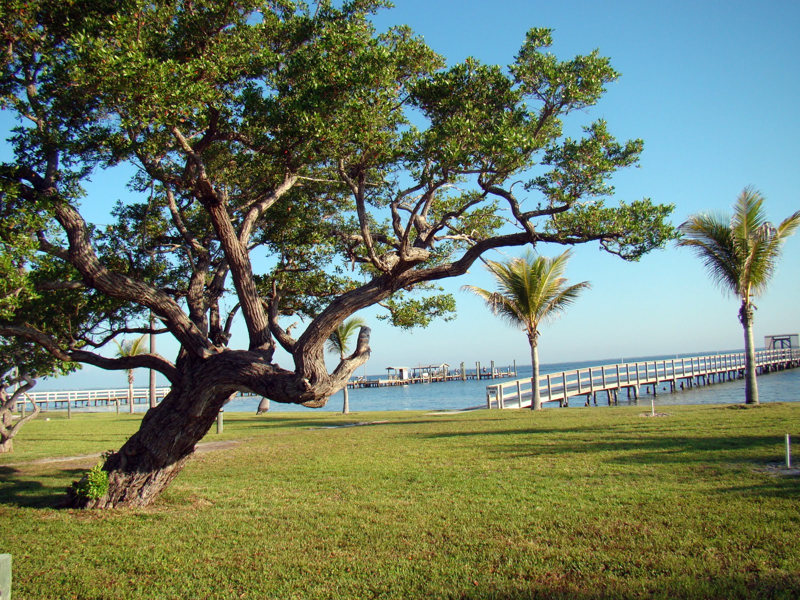 Pine Island, Florida Land Sales on Pine Island, Florida