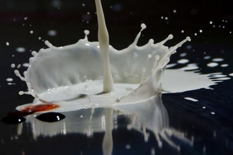 [flickzzz.com+colorful+milk+drops+018-755324.jpg]