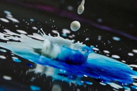 [flickzzz.com+colorful+milk+drops+017-754599.jpg]