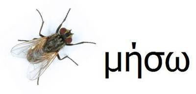 TYYT_5243_s.jpg