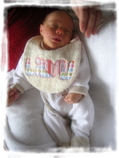 21 Novembre 2008