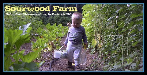 Sourwood Farm