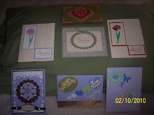 Flowers and Butterflies