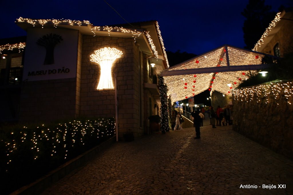 [antoniopovinho_2969.JPG]