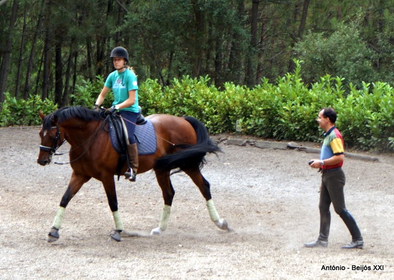 [antoniopovinho_2938.JPG]