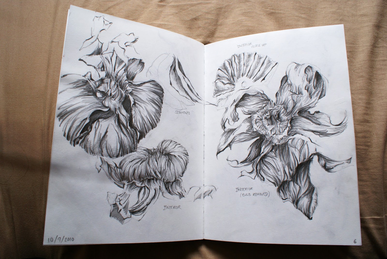 BTEC Foundation Art and Design Sketchbook pages and Paper model