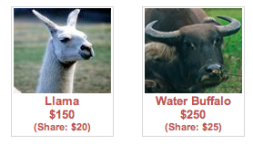 animal gifts - llama and water buffalo