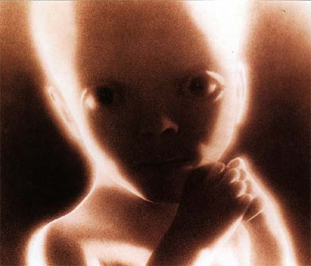 2001_a_space_odyssey_baby1.jpg