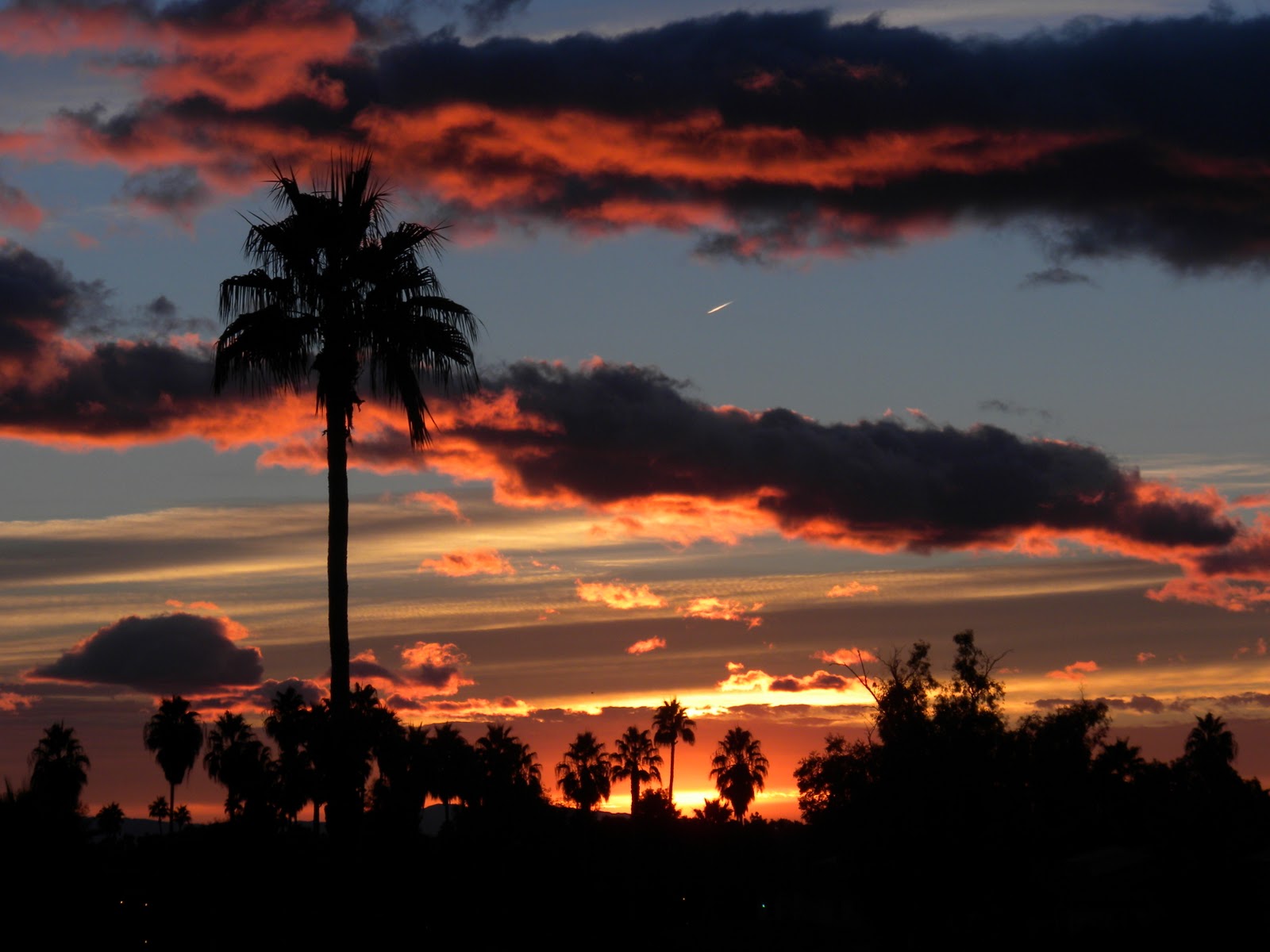 HEATHERS RUNNING ADVENTURES Palm Springs Cold Adventures