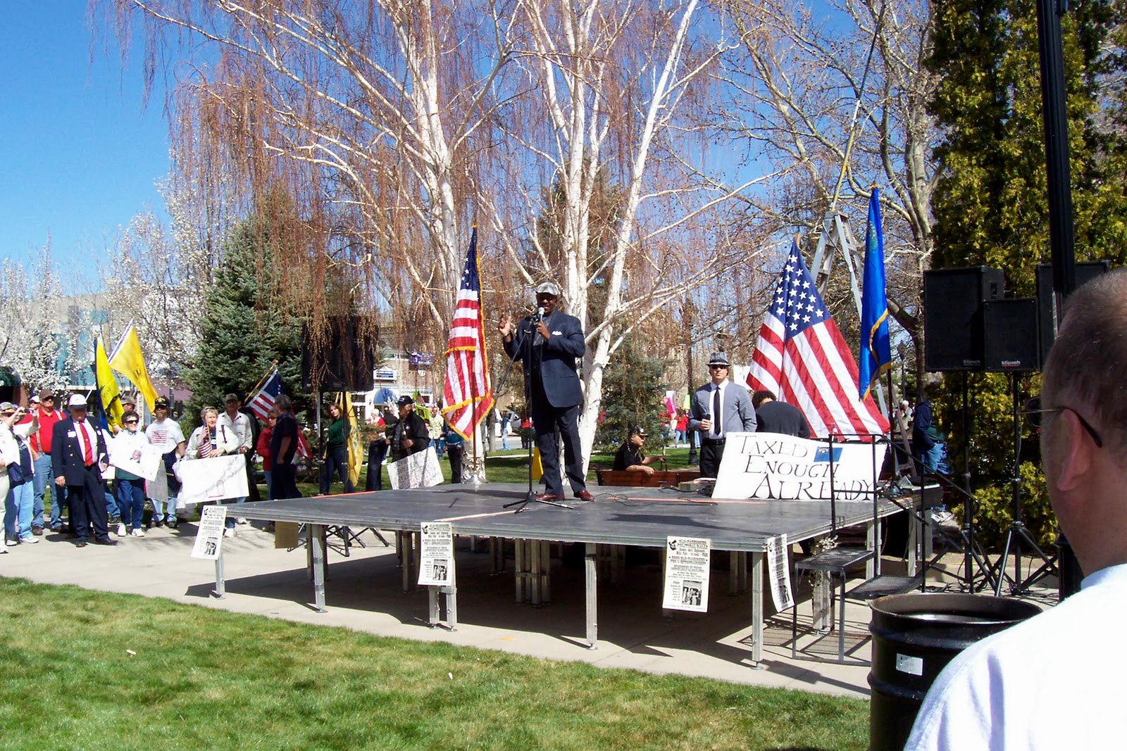 Woodsterman Carson City, NV Tea Party