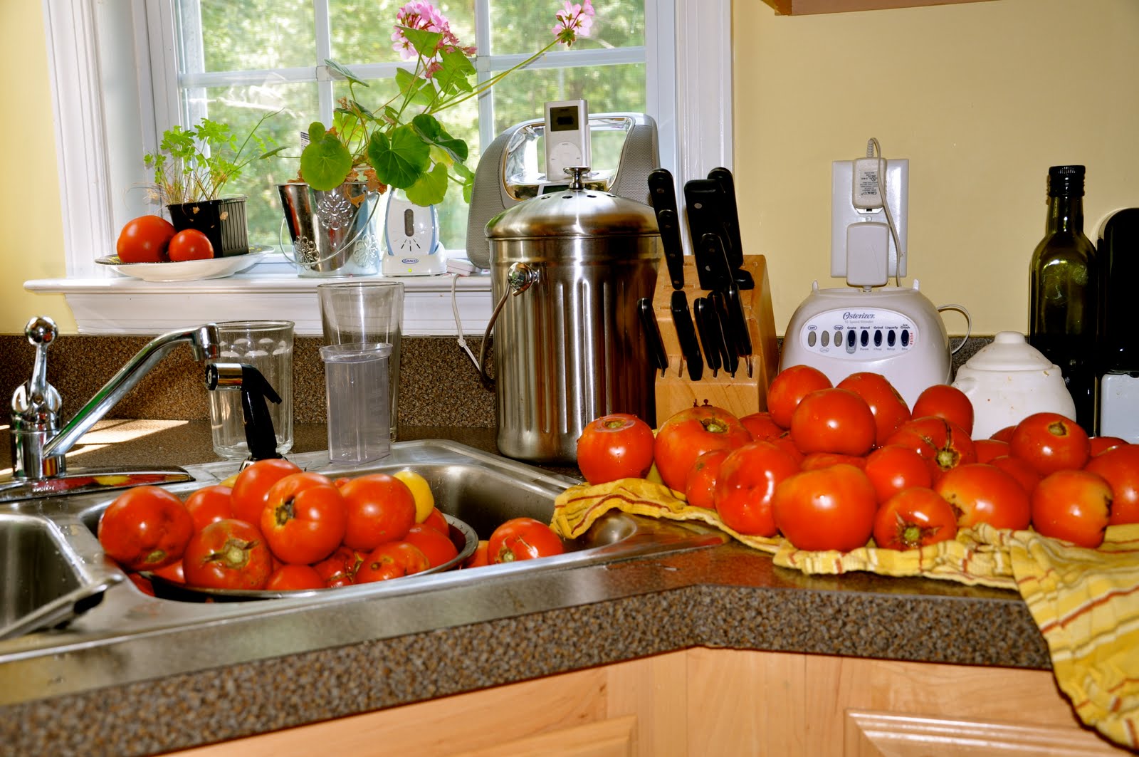 Green Shutter Water Bath Canning Tomato Sauce