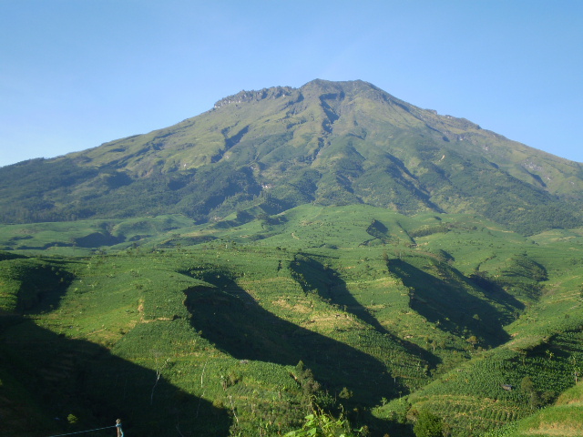 The Special Donz: Gunung Sumbing (3.371 mdpl)
