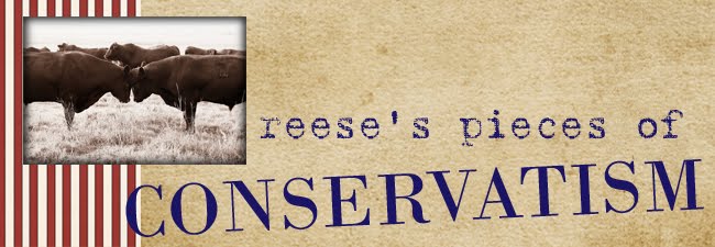reese's pieces of conservatism