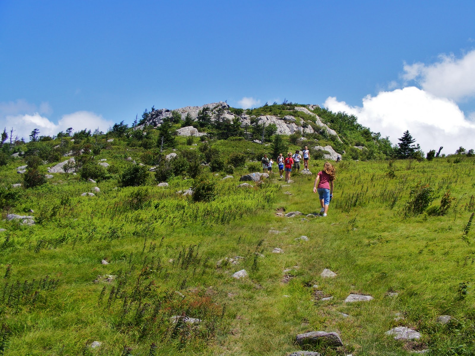 Family Adventure Zone Mt Rogers Expedition