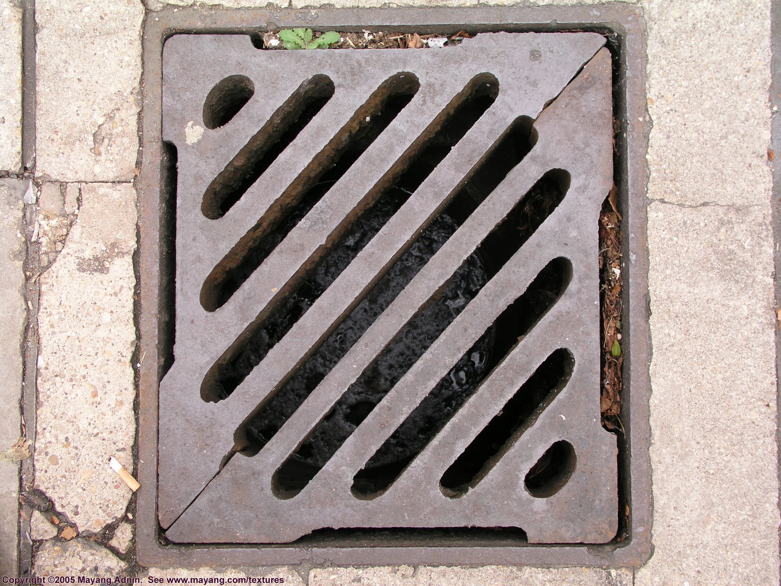 Graphic Design Types of lines