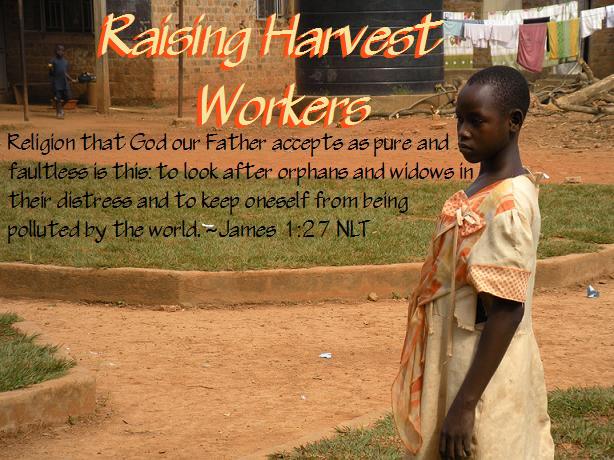 Raising Harvest Workers