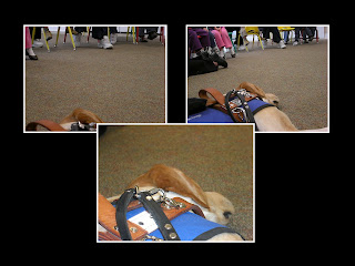 Layout of 3 photos, Toby is knocked out in all, and you can see some children in the top of the picture