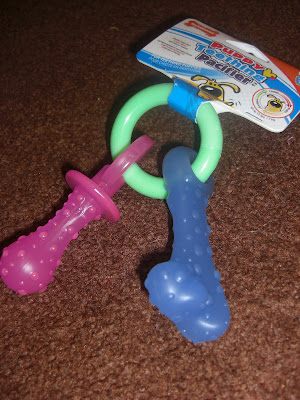 Picture of the new puppy's pacifier chew toy