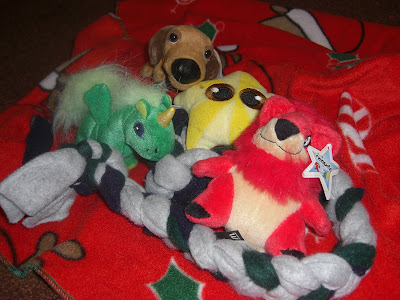 Picture of the doggy's stuffies, a few mini ones - perfect for puppies!