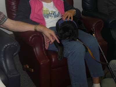Picture of Rudy laying on a lady's lap, Rudy is licking another person's hand