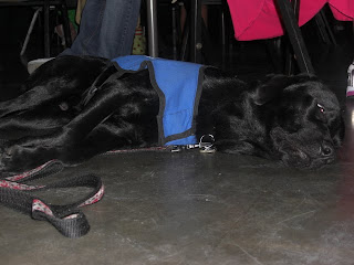 Picture of Sparkie sleeping under our table