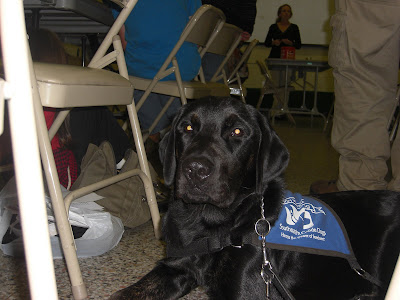 Picture of Rudy in coat in a down-stay at a 4-H meeting