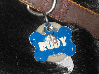 Up close picture of the charm attached to Rudy's tags - with the collar on Rudy's neck