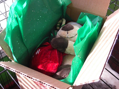 Picture of the stuffed Santa dog we received in the mail - it's still in the box with pretty green tissue paper around it!