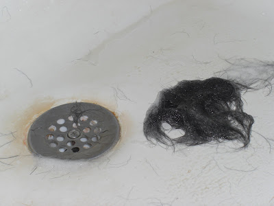 A large pile of Rudy's black wet/soapy dog hair beside the shower drain