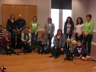 A group picture with all of the pups in training - and the breeder dogs