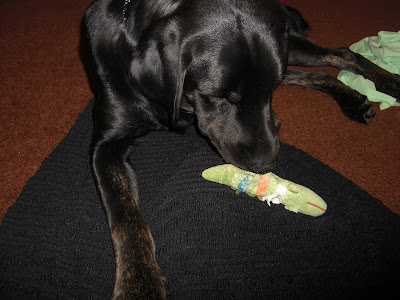 Picture of Rudy ON the black fabric I was using to sit my soap on - with the toy sitting in a perfect spot of the photo