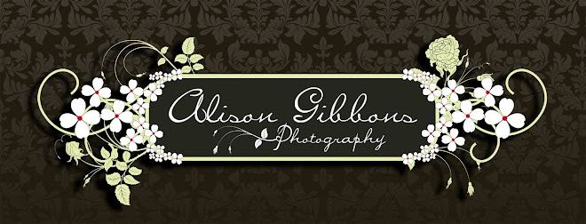 alison gibbons photography