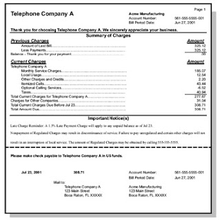 Telecommunications Cost Management: Sample local telephone bill