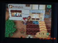 Animal Crossing: Tips and Tricks