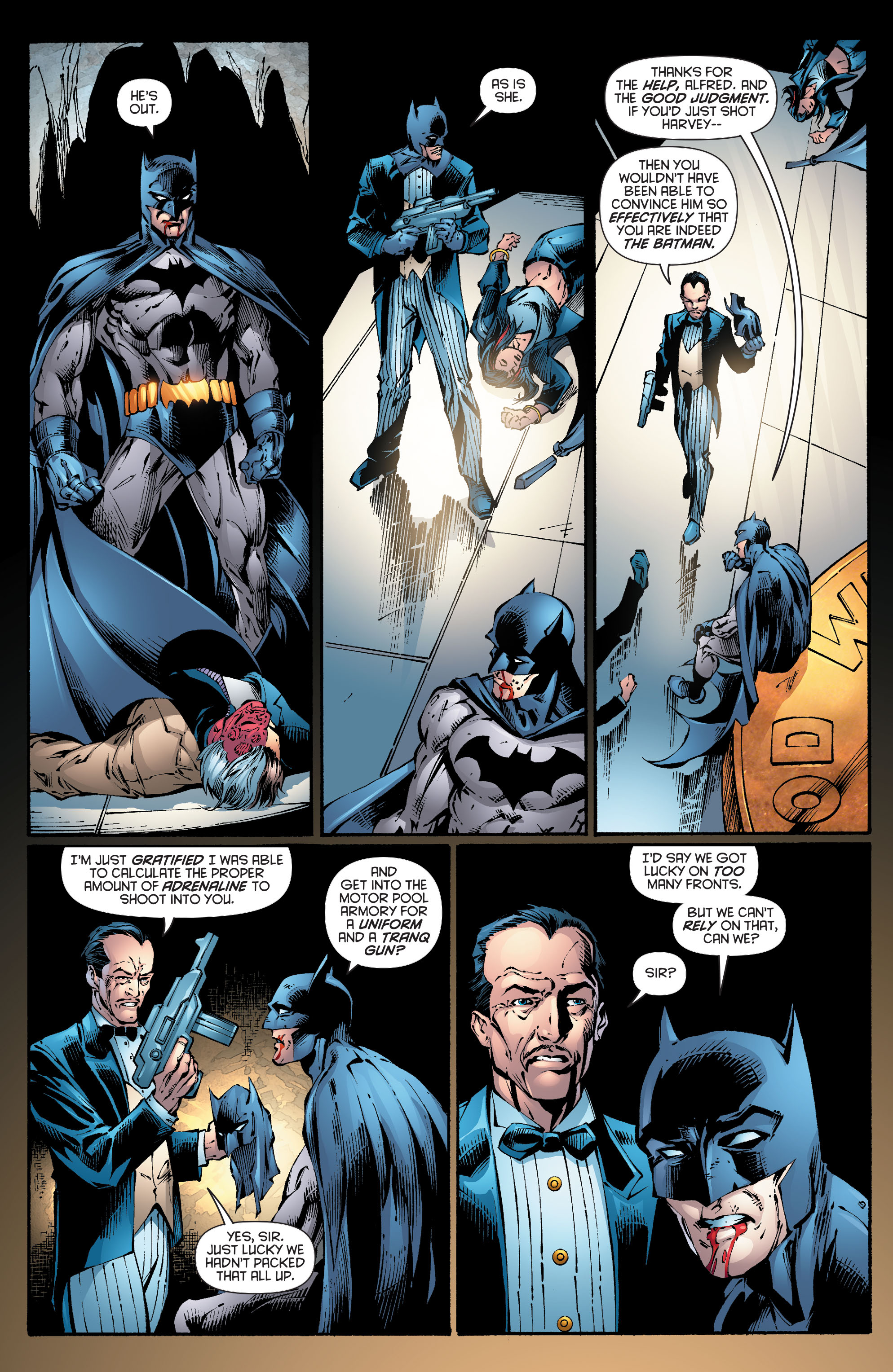 Read online Batman (1940) comic -  Issue #691 - 14