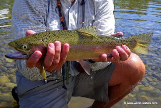 Fly fishing the Bitterroot with clients from Arizona