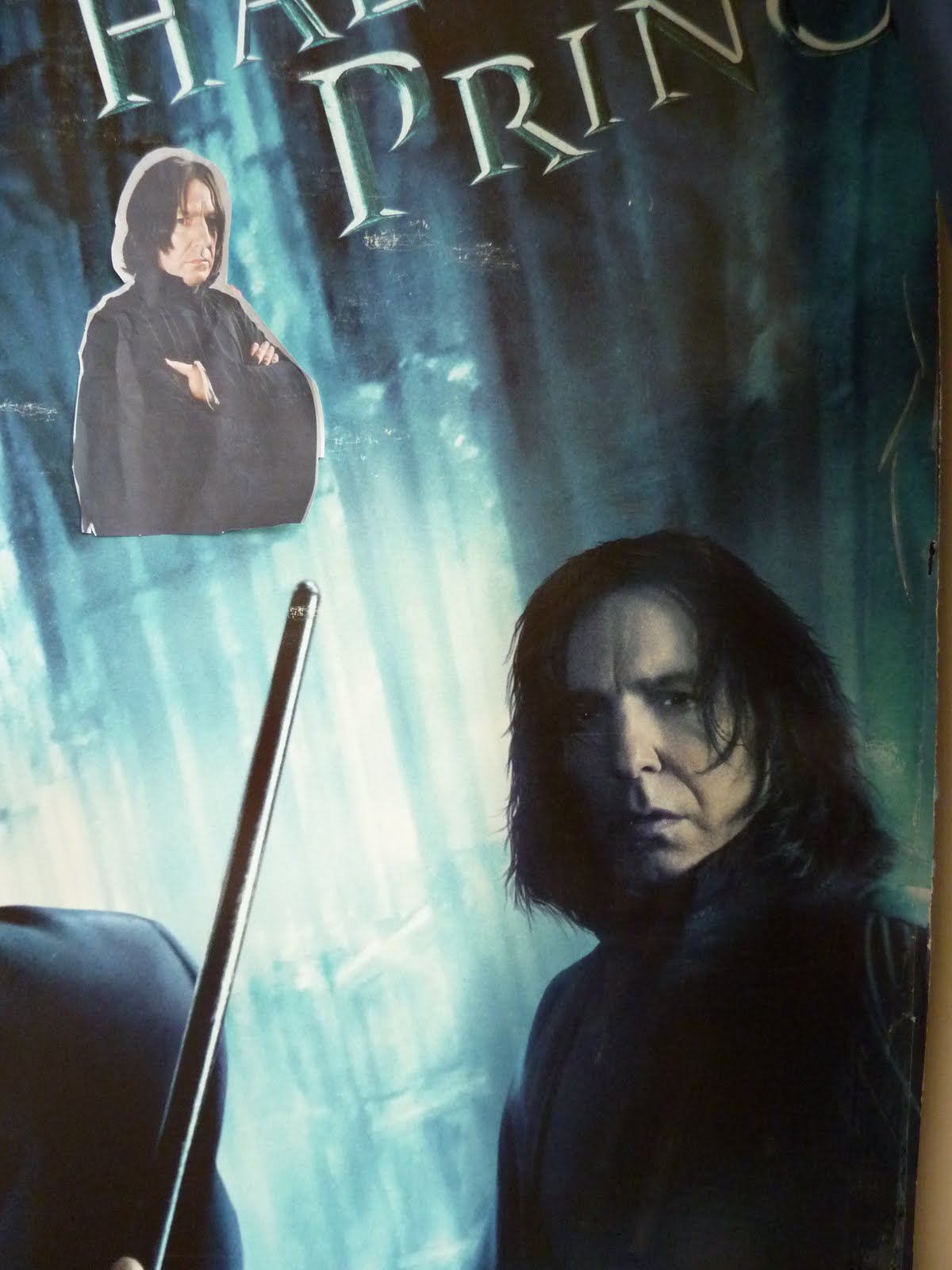 Book for snapes essay 05 picture