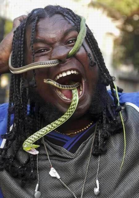 Fungugu Funny Pictures: Snakes Everywhere - Crazy Snake man Gallery