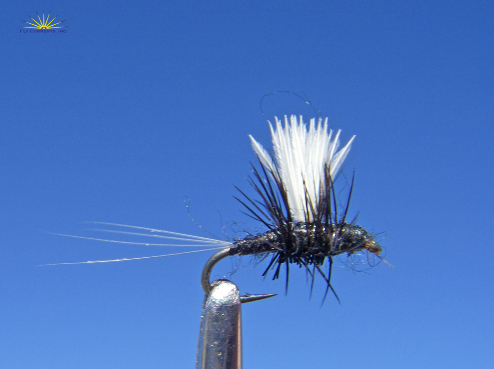 Fly Currents Fishing Report and News: New Fly Patterns