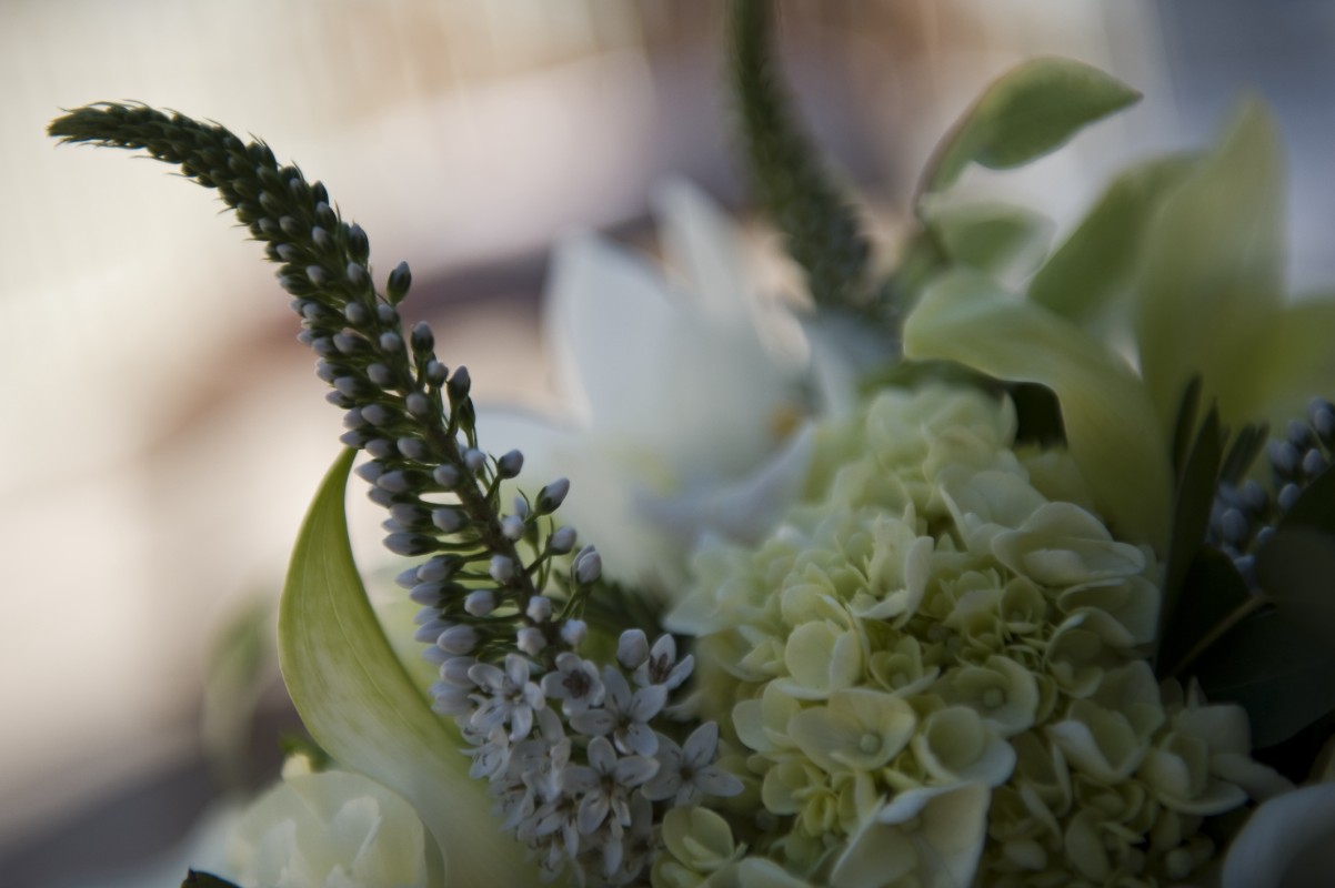 [Wedding+Flowers+_18.jpg]