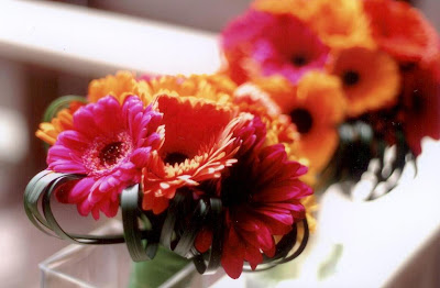 Lindsay and Daniel - May 16th 2009 scan0004 - Lindsay and Daniel - May 16th 2009