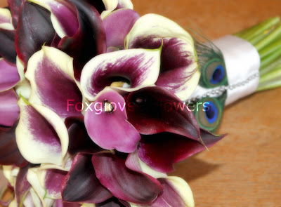 Aug+2010+212 p - Kirsten and James - August 22nd 2010